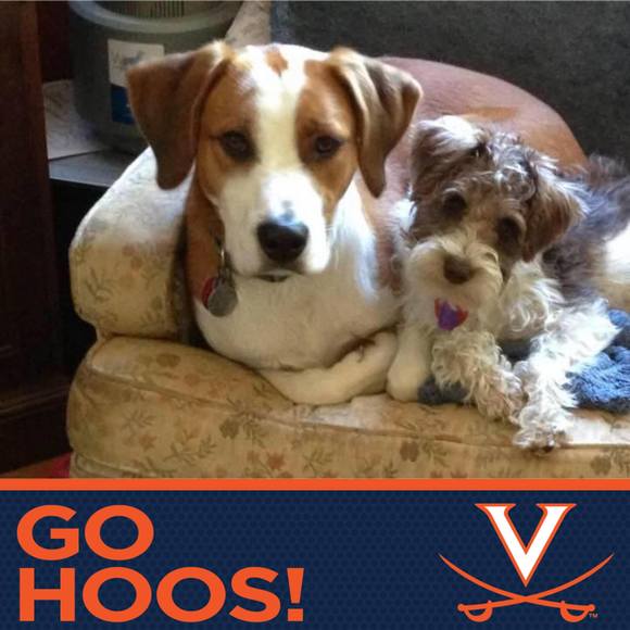 Meet your Posher, Constance - Picture 1 of 1